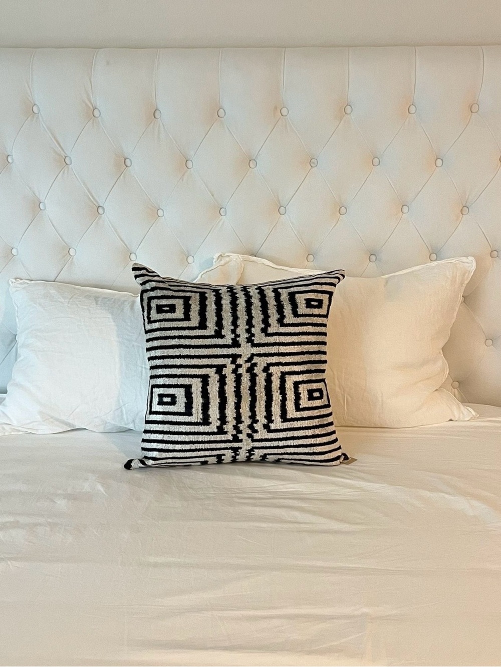 RARE Jayson Home Silk ikat Pillow